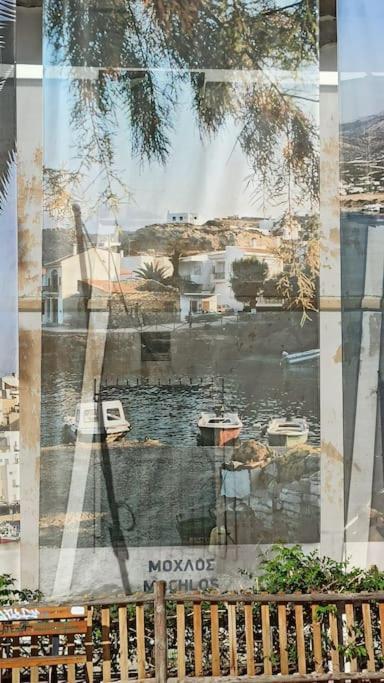 Apartment Seashell Sea View, Castle View 200metres From The *