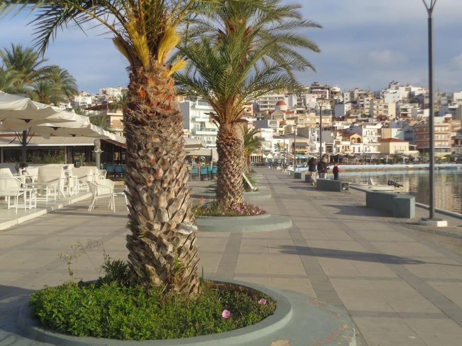 Apartment Seashell Sea View, Castle View 200metres From The Sitia (Crete)
